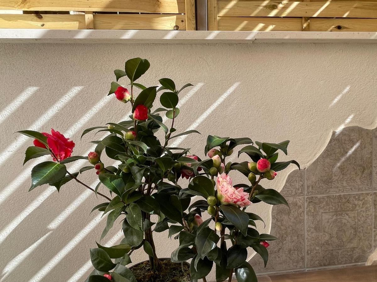 Ateneo Cuenca Suites Con Cocina En El Casco Historico エクステリア 写真